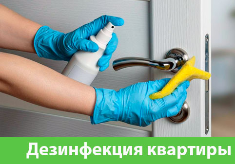 Дезинфекция квартиры в городе Вельск