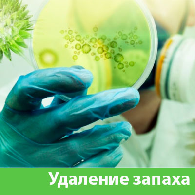 Удаление запахов в Вельске
