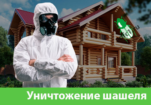 Уничтожение шашеля и личинок в Вельске