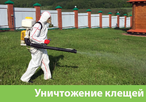 Уничтожение клещей в городе Вельск