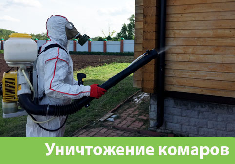 Уничтожение комаров в городе Вельск