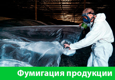 Фумигация продукции в городе Вельск
